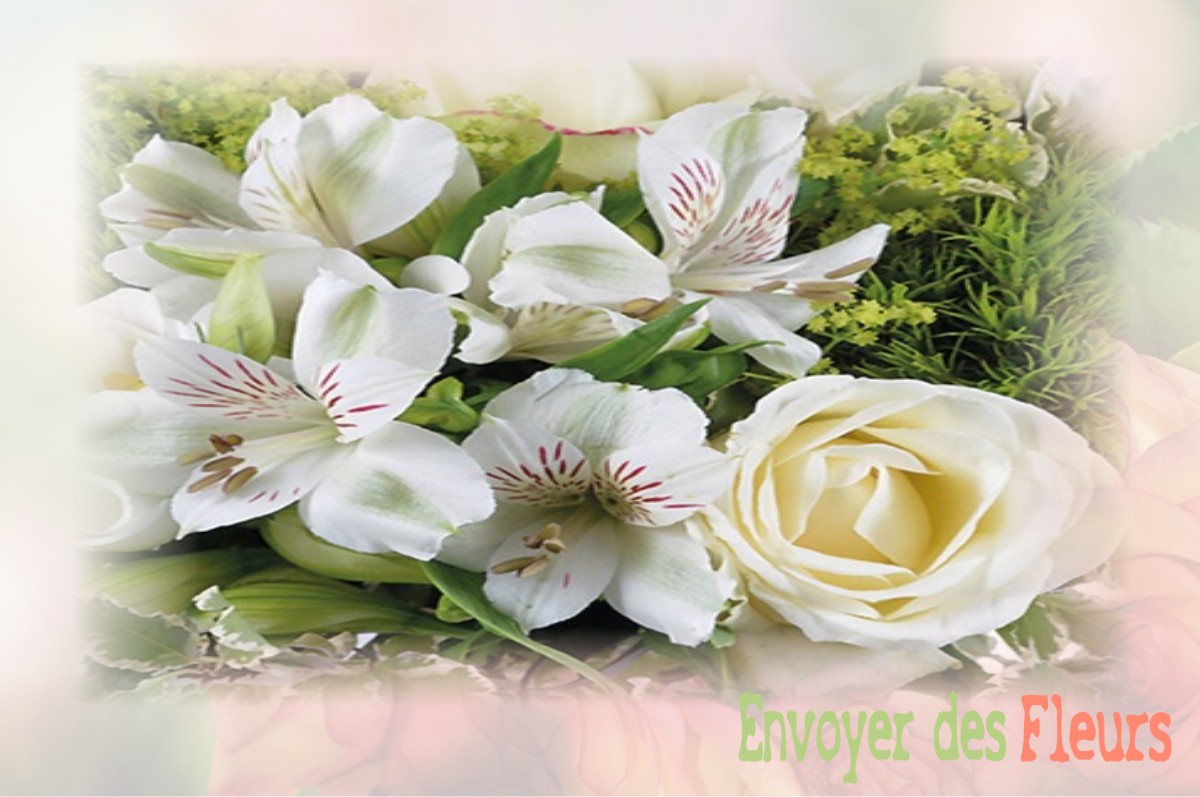 envoyer des fleurs à à MENETREOL-SUR-SAULDRE